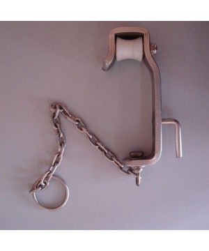 Путовая цепь